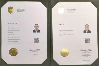 Mr. WANG JUN Greater China Appointment Letter