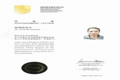 APPOINTMENT LETTER TO GUO RUIAGNG